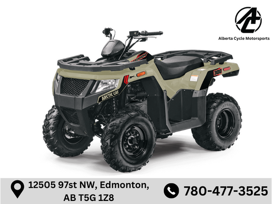 2023 Arctic Cat Alterra 300 (20228)