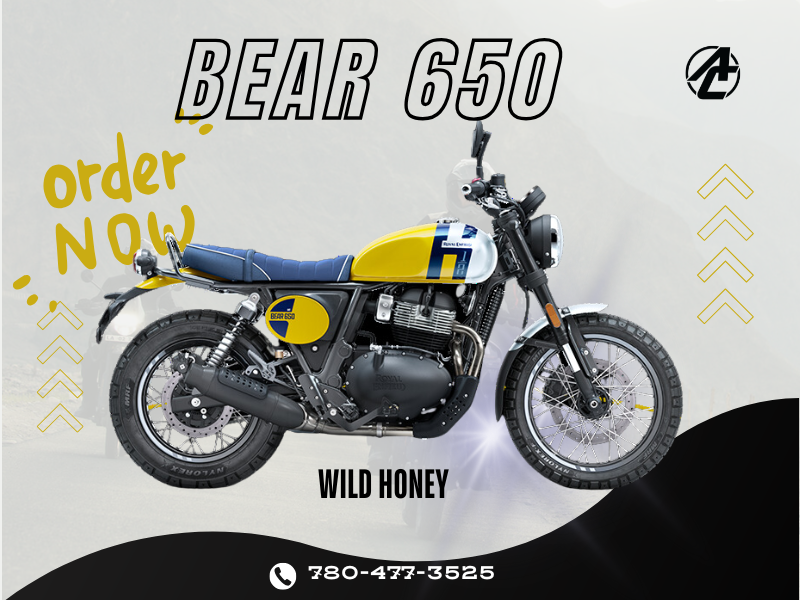 2025 Royal Enfield Bear 650 (Order Now)