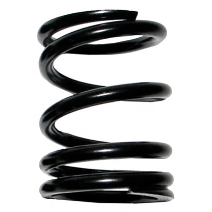 CVTech Pulley Spring